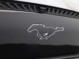 Ford Mustang Mach-E thumbnail 44