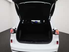 Ford Kuga thumbnail 11