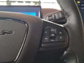 Ford Mustang Mach-E thumbnail 13