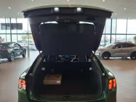Ford Mustang Mach-E thumbnail 17