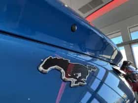 Ford Mustang Mach-E thumbnail 11