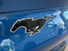 Ford Mustang Mach-E thumbnail 12