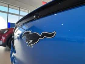 Ford Mustang Mach-E thumbnail 9