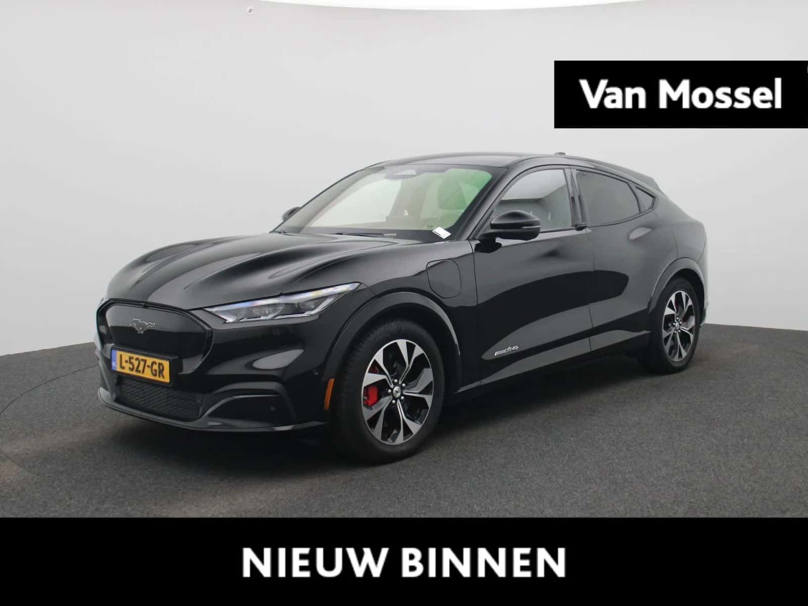 Ford Mustang Mach-E (2021) — foto 1