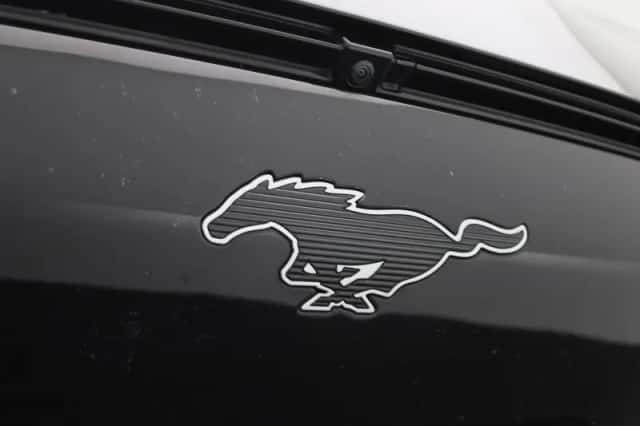 Ford Mustang Mach-E (2021) thumbnail 44