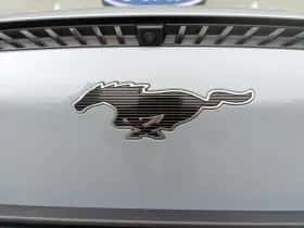 Ford Mustang Mach-E thumbnail 11