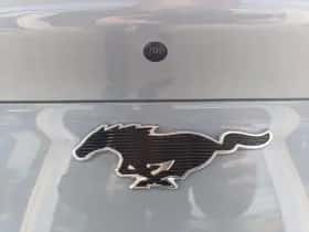 Ford Mustang Mach-E thumbnail 12