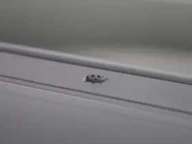 Jeep Avenger (2023) thumbnail 38