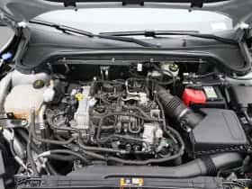 Ford Focus thumbnail 30
