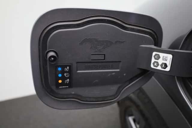 Ford Mustang Mach-E (2021) thumbnail 15