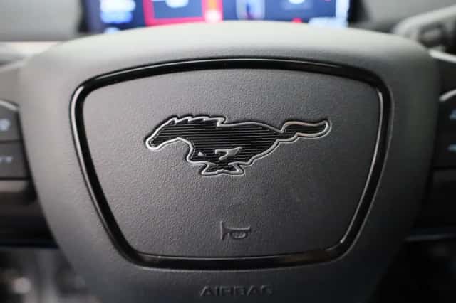 Ford Mustang Mach-E (2021) thumbnail 31