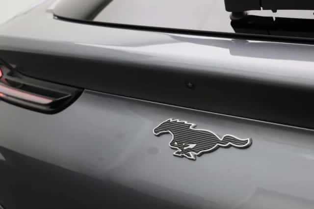 Ford Mustang Mach-E (2021) thumbnail 42