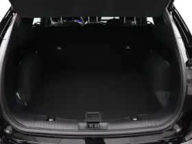 Ford Kuga thumbnail 14