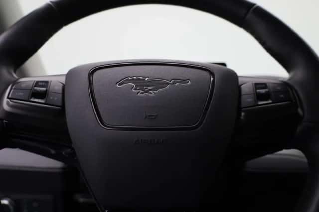 Ford Mustang Mach-E (2021) thumbnail 3
