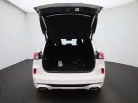Ford Kuga thumbnail 11