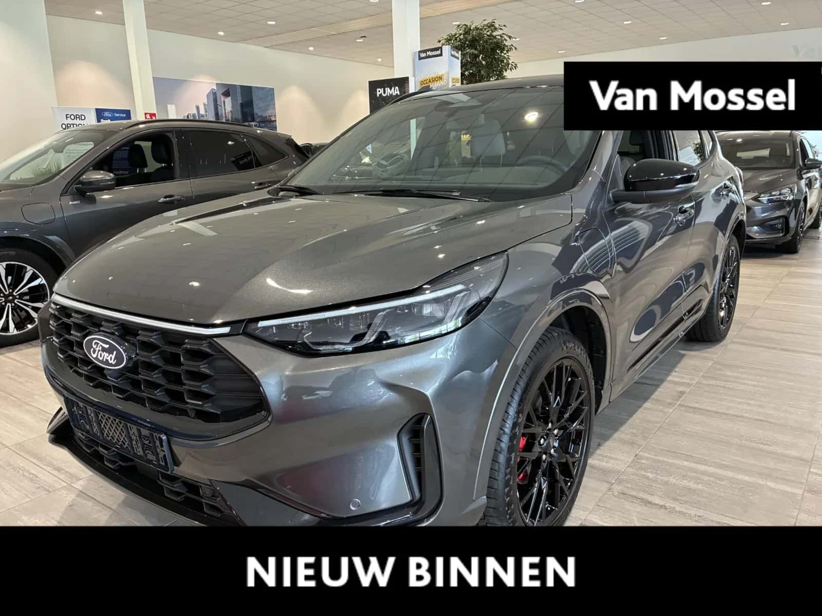 Ford Kuga (2026) — foto 1