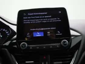 Ford Fiesta thumbnail 21