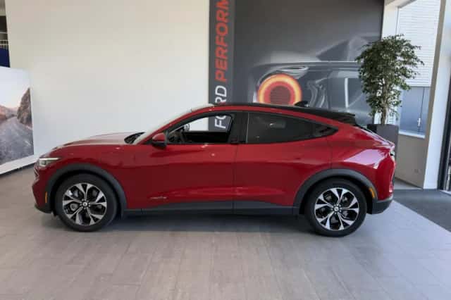 Ford Mustang Mach-E (2021) thumbnail 2
