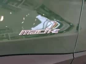 Ford Mustang Mach-E thumbnail 20