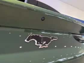 Ford Mustang Mach-E thumbnail 33