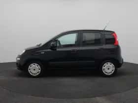 Fiat Panda thumbnail 4