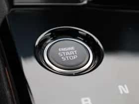 Kia Sportage (2025) thumbnail 22