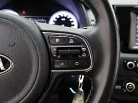 Kia Niro thumbnail 19