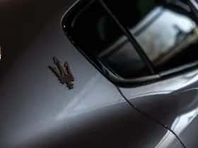 Maserati Grecale thumbnail 26