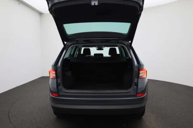Škoda Kodiaq (2021) thumbnail 12