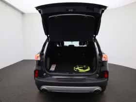 Ford Kuga thumbnail 11