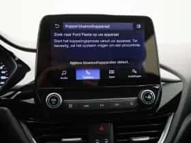 Ford Fiesta (2022) thumbnail 20