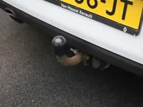 Renault Clio thumbnail 31