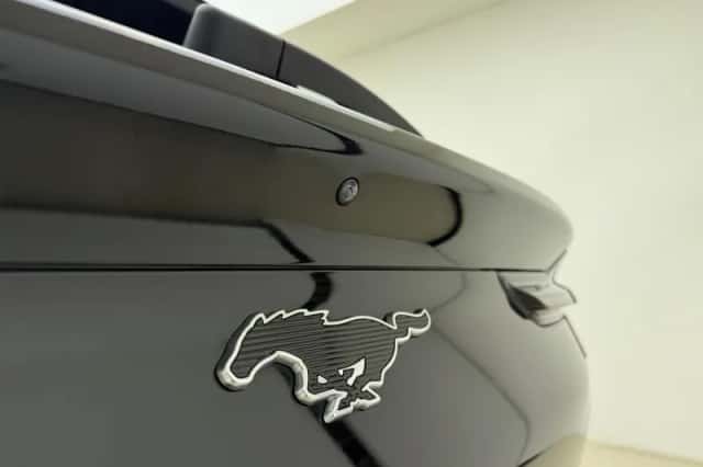Ford Mustang Mach-E (2021) thumbnail 3
