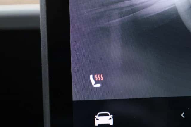Tesla Model 3 (2021) thumbnail 18