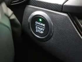 Ford Focus (2021) thumbnail 20