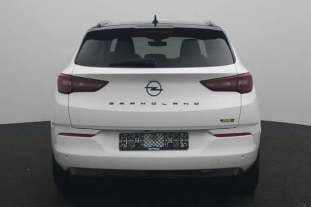 Opel Grandland (2023) thumbnail 6