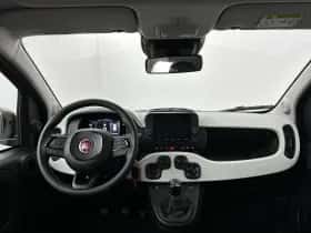 Fiat Pandina (2026) thumbnail 2