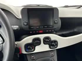 Fiat Pandina (2026) thumbnail 14