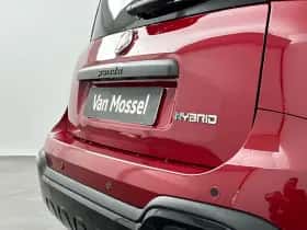 Fiat Pandina (2026) thumbnail 17