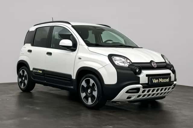 Fiat Pandina (2026) thumbnail 4