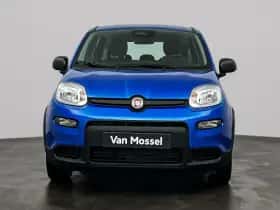 Fiat Panda (2025) thumbnail 4