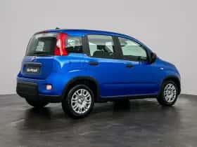 Fiat Panda (2025) thumbnail 7