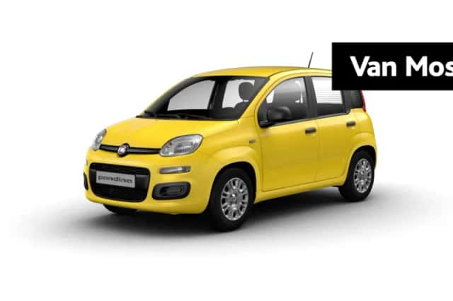 Fiat Pandina (2026) thumbnail 1