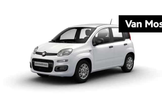 Fiat Pandina (2026) thumbnail 1