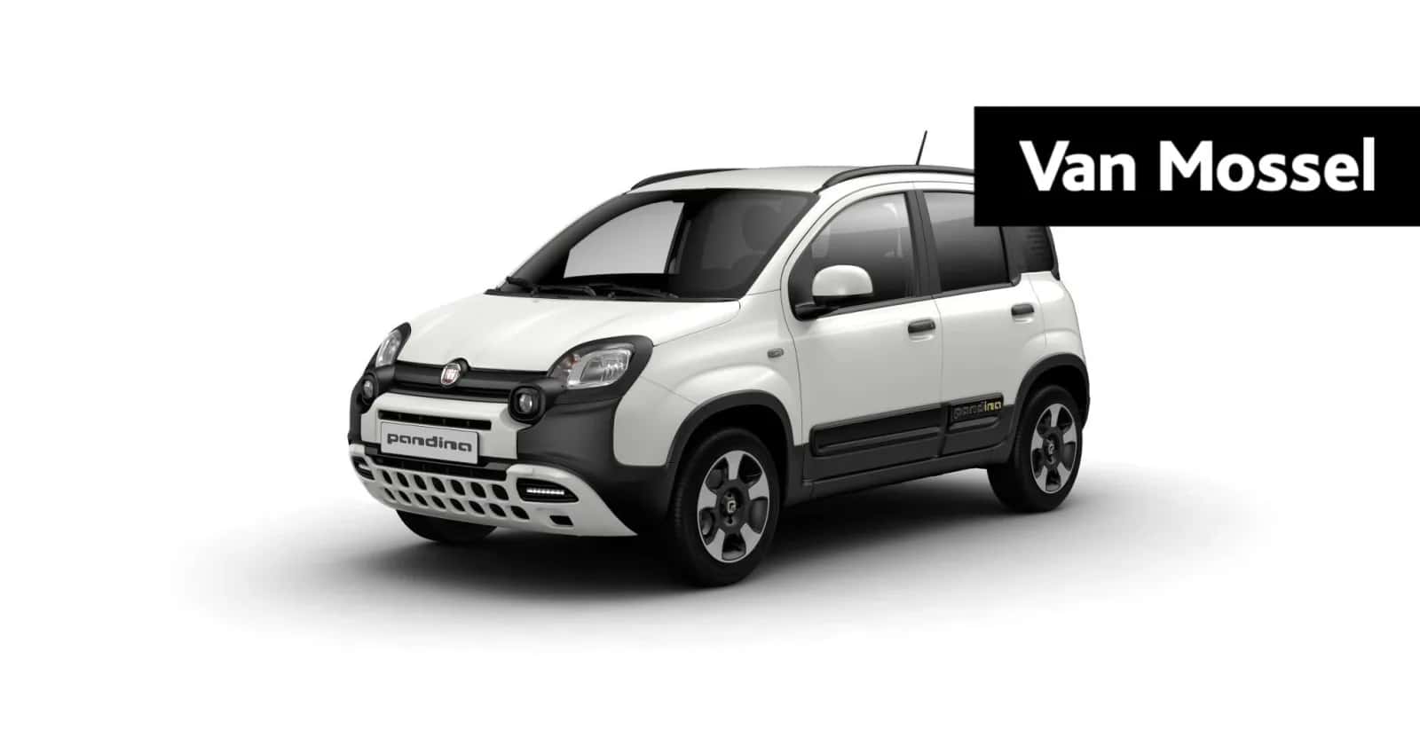 Fiat Pandina (2025) — foto 1