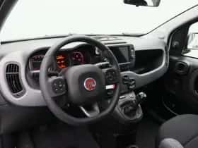 Fiat Panda (2022) thumbnail 19