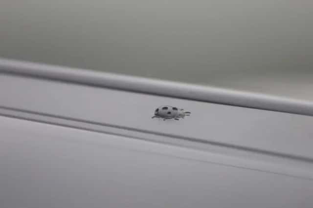 Jeep Avenger (2023) thumbnail 39