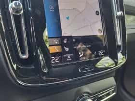 Volvo XC40 (2022) thumbnail 16