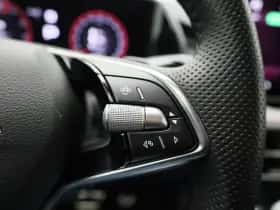 Škoda Kodiaq (2025) thumbnail 19