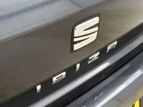 SEAT Ibiza (2021) thumbnail 28
